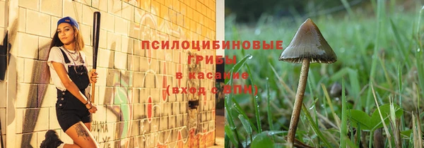 гидропоника Алзамай