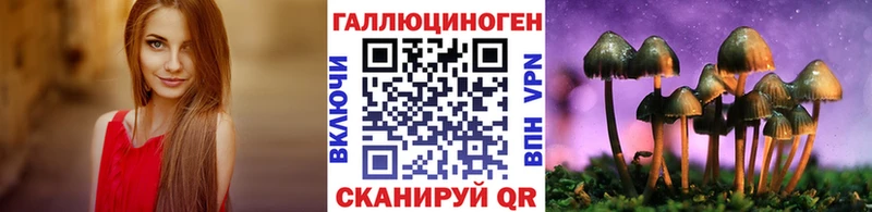 Псилоцибиновые грибы GOLDEN TEACHER Аргун